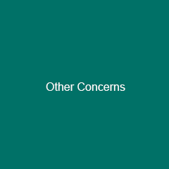 Other Concerns